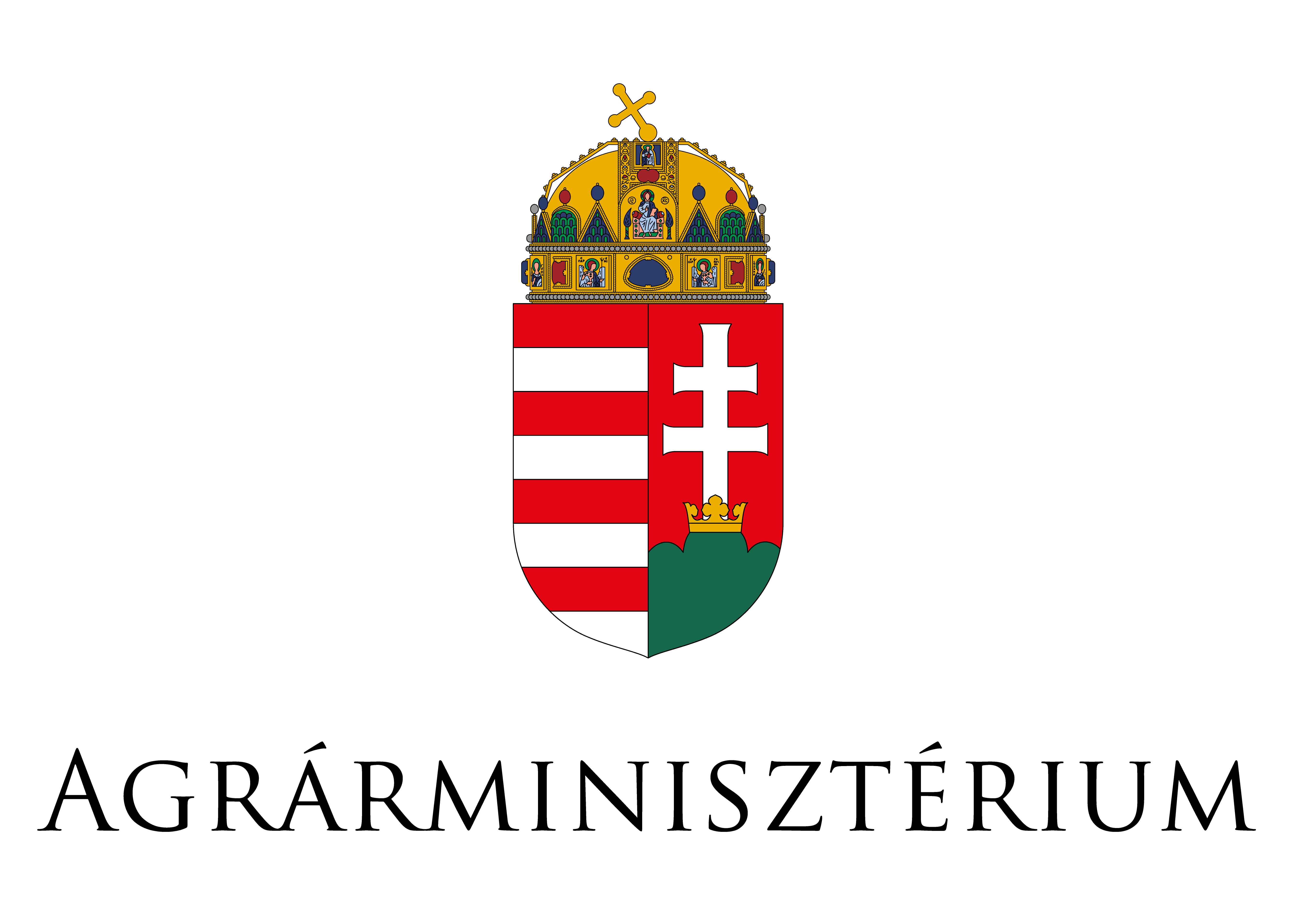 am logo szines 01