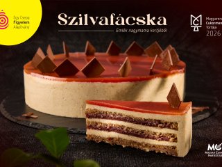 MCT2026_Szilvafacska_1