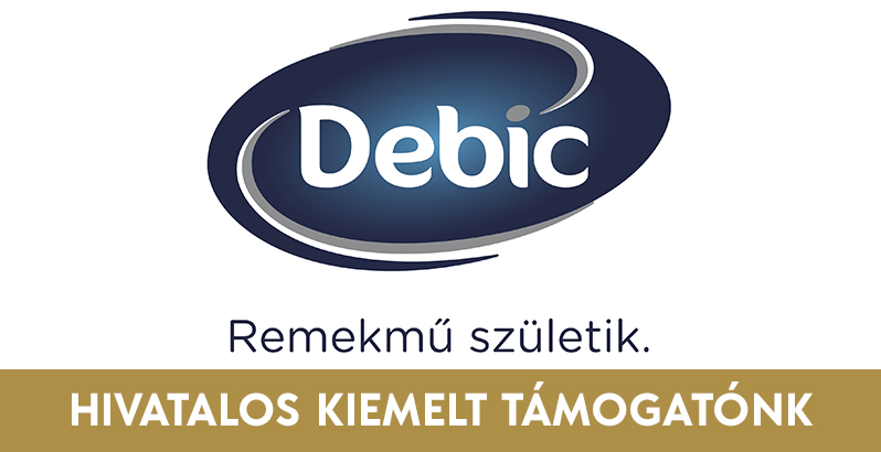 Debic